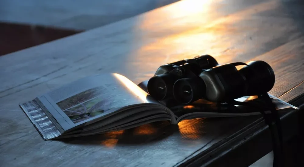 Birdwatching wildlife safari Estancia Don Joaquin Corrientes Argentina Jabiru Yellow Cardinal