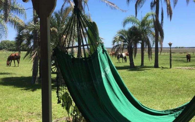Estancia Don Joaquín - Estancia La Terecita