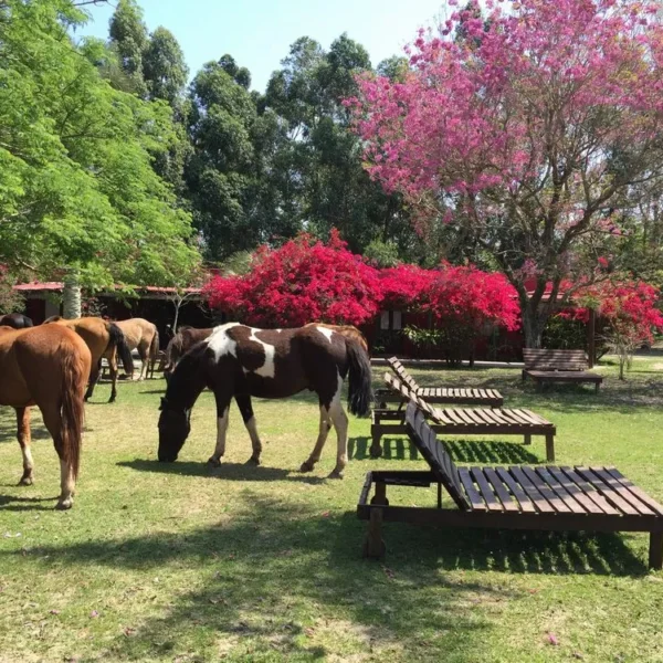 estancia-don-joaquin-galeria-estancia-09-6912036b82dcb