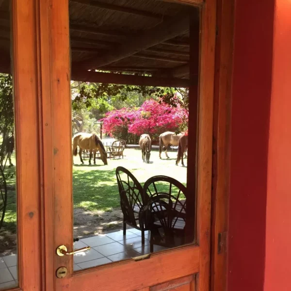 estancia-don-joaquin-galeria-estancia-13-6912036cc4942