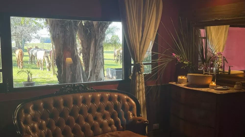 estancia-don-joaquin-habitacion-el-naranjero-03