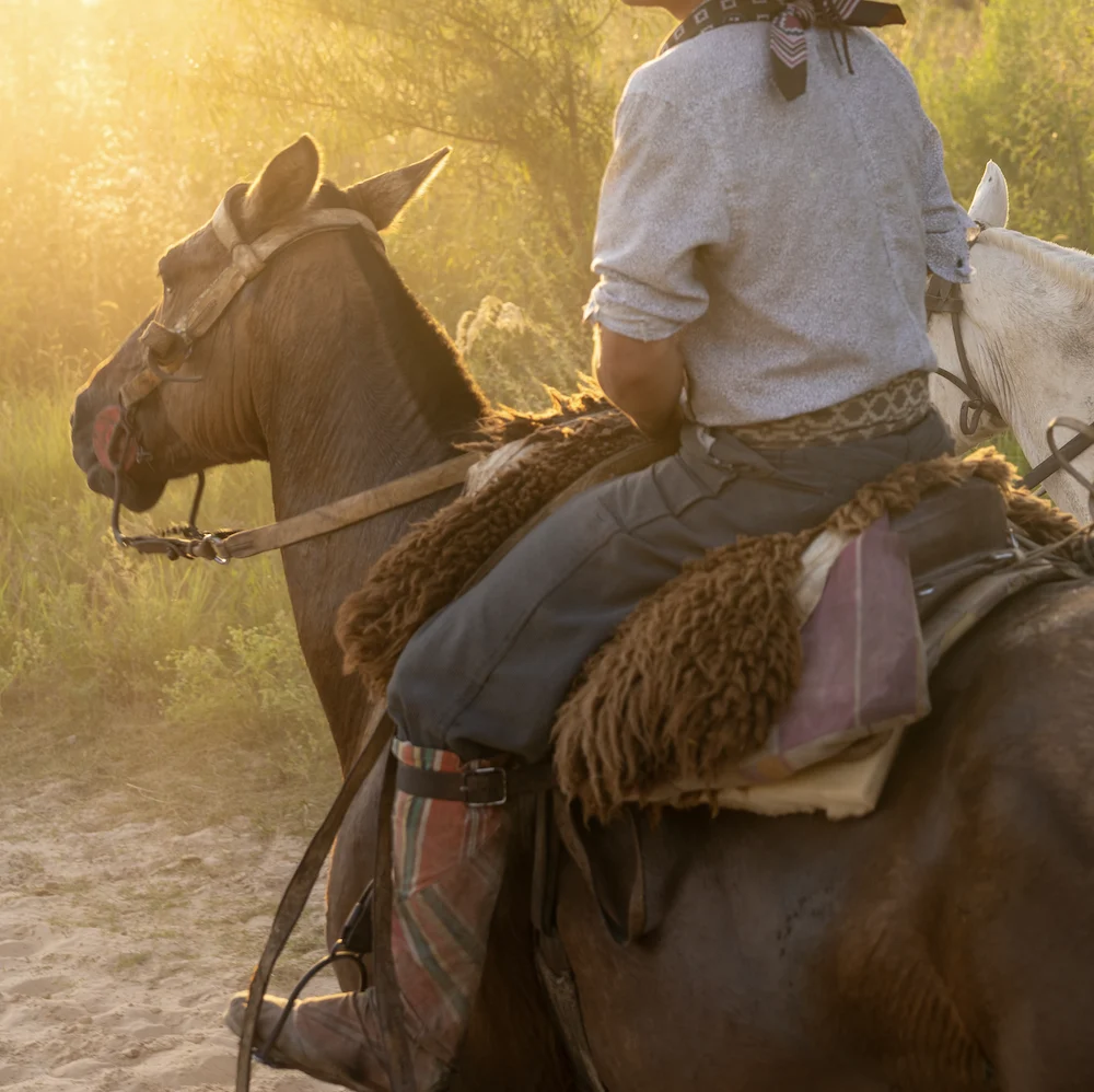 montura-criollo-gaucho-Argentino.webp