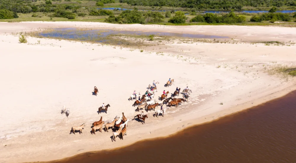 DJI_20251211045809_0100_D