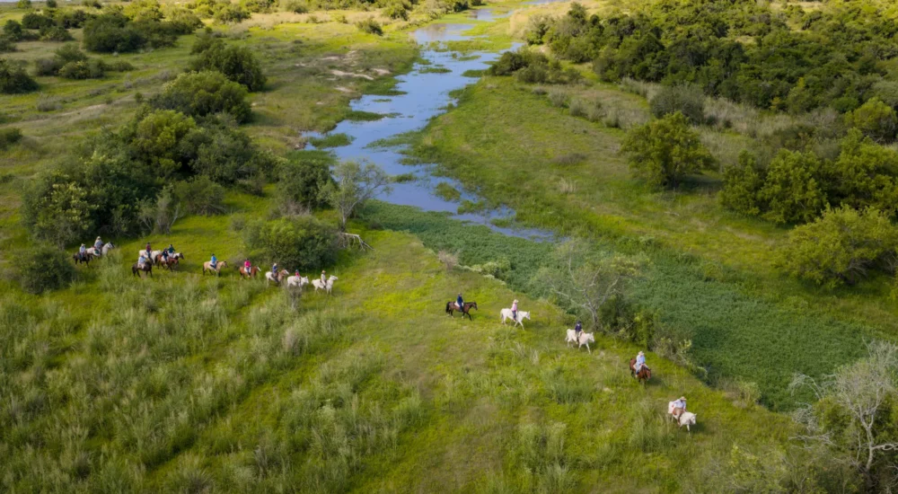 DJI_20251211052145_0121_D