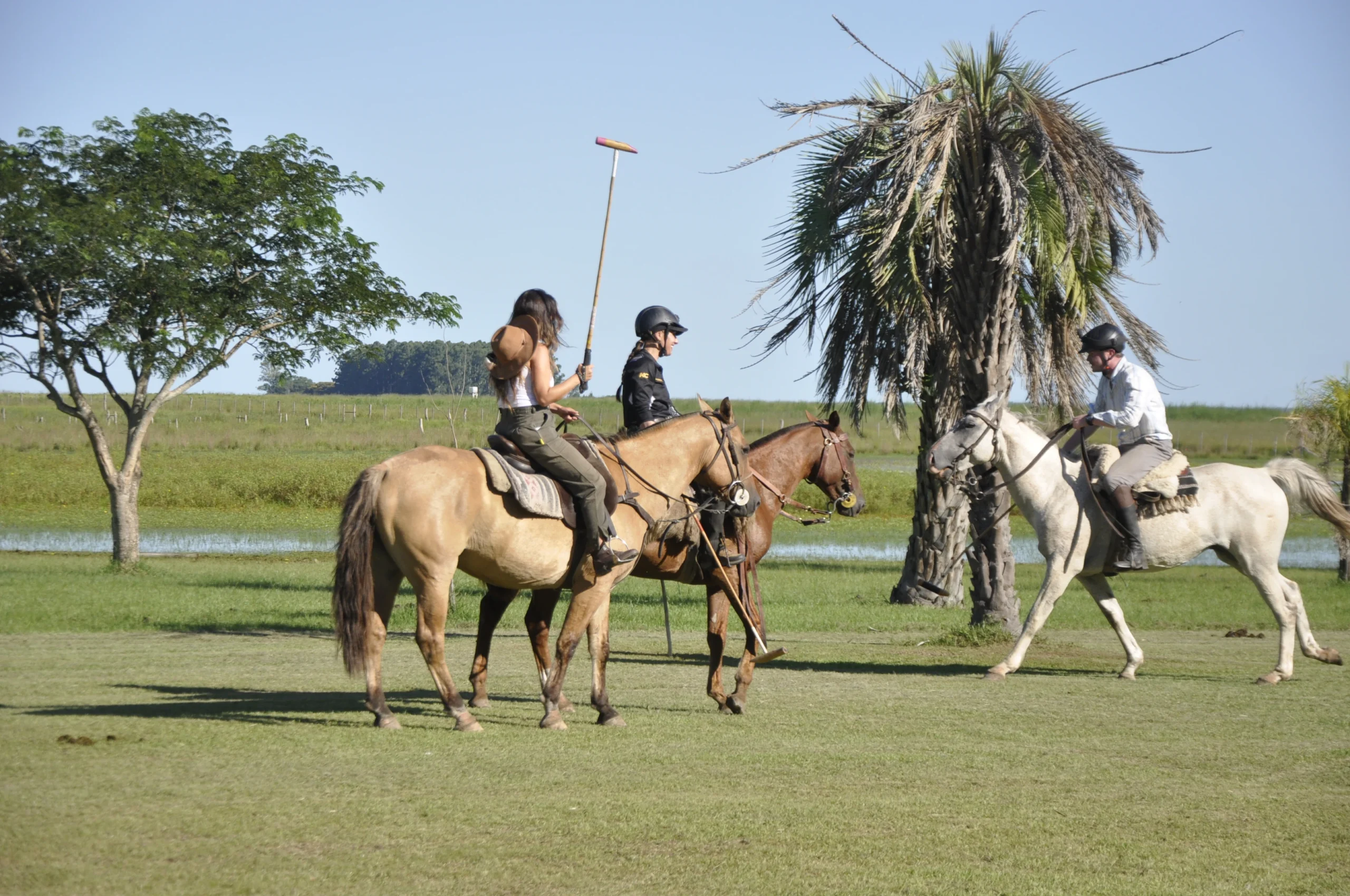 Gaucho polo activities Estancia don Joaquin Corrientes argentina