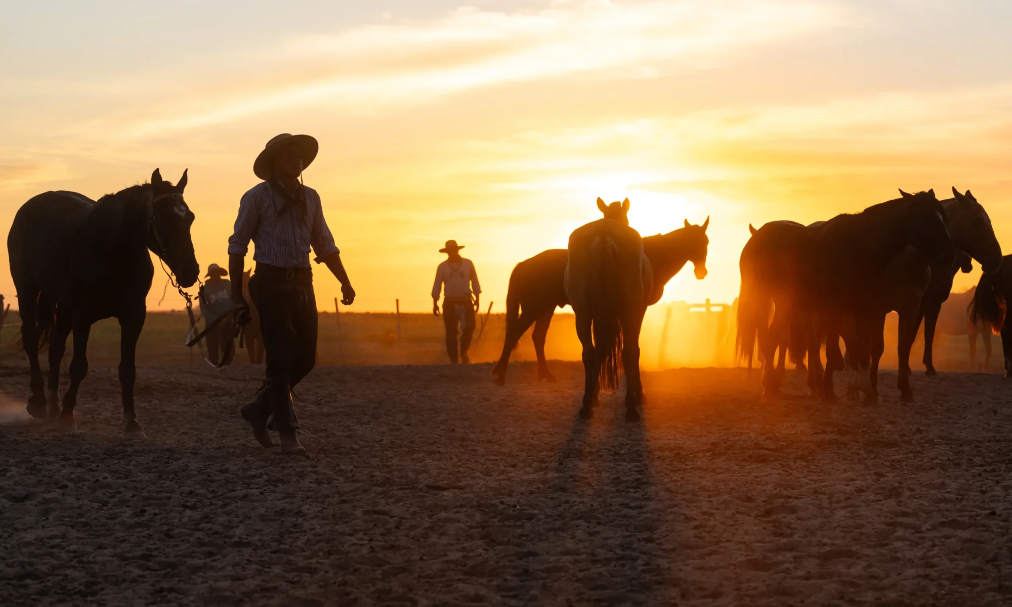 Authentic Gaucho rural activities lasso cattle herding Estancia don Joaquin Corrientes argentina Horse riding argentina sunset ride