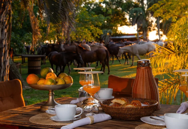 Breakfast traditional argentine food estancia don Joaquin our kitchen Corrientes argentina