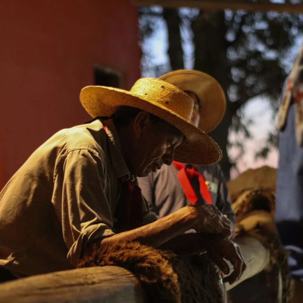 Authentic Gaucho rural activities lasso cattle herding Estancia don Joaquin Corrientes argentina