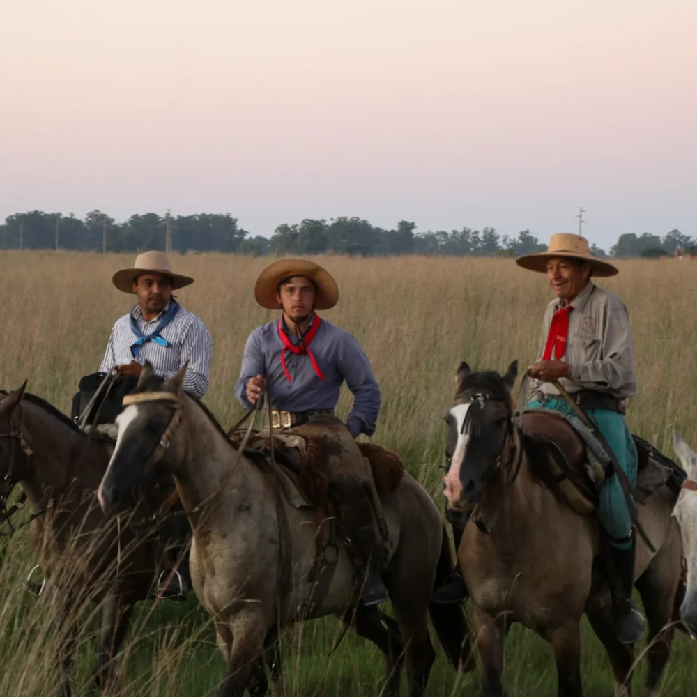 Authentic Gaucho rural activities lasso cattle herding Estancia don Joaquin Corrientes argentina