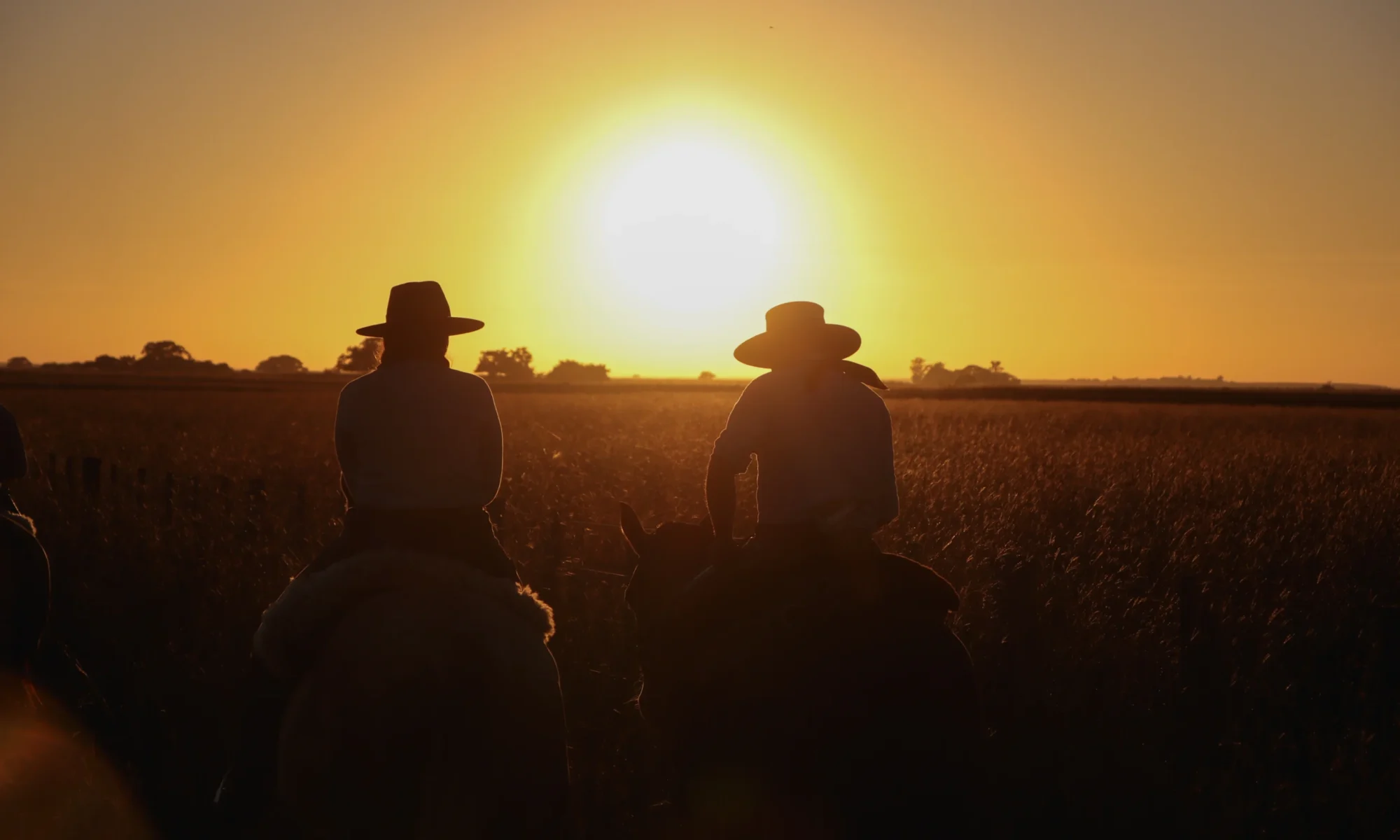 Authentic Gaucho rural activities lasso cattle herding Estancia don Joaquin Corrientes argentina