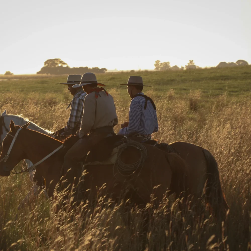 Gauchos que pasean en la llanura correntina