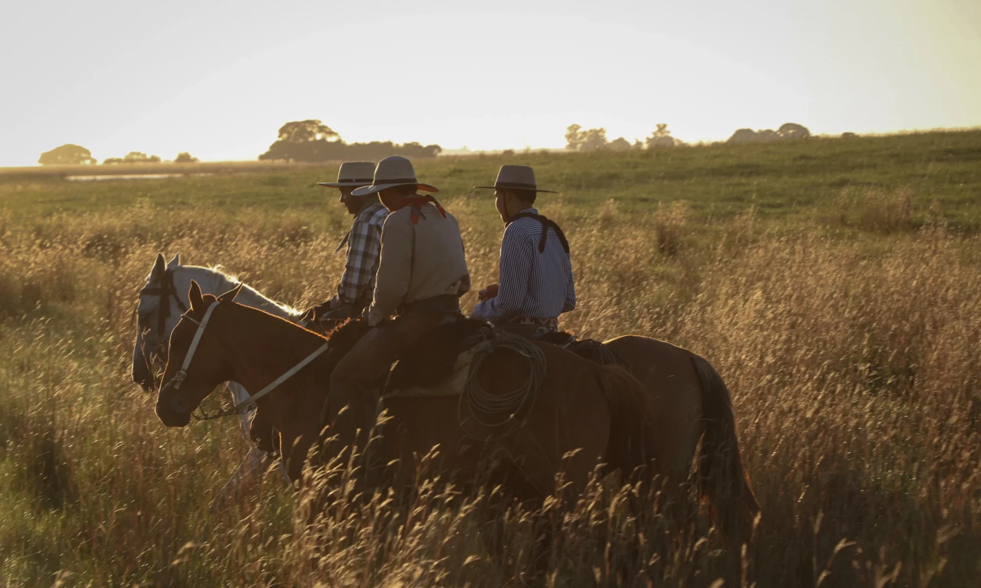 Gauchos que pasean en la llanura correntina