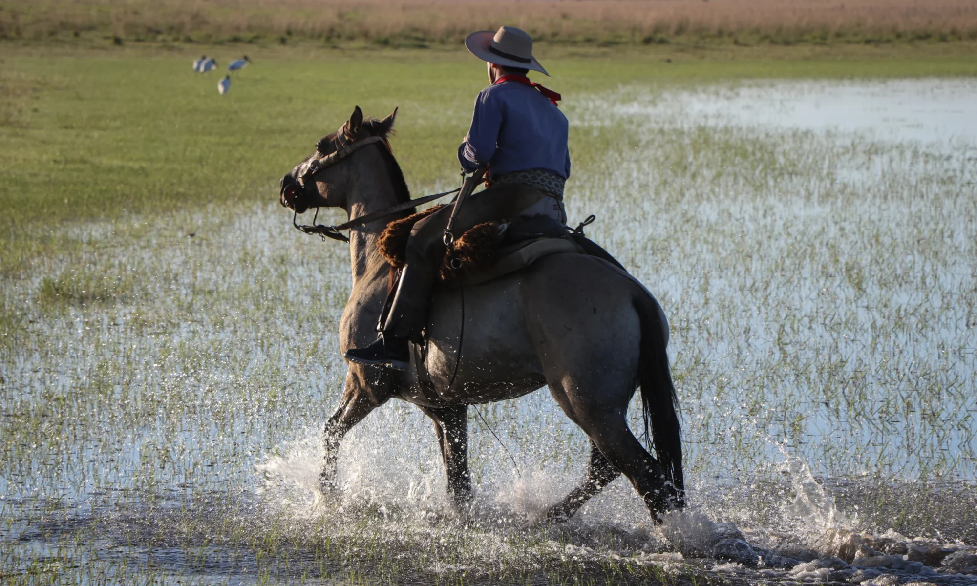 Authentic Gaucho rural activities lasso cattle herding Estancia don Joaquin Corrientes argentina