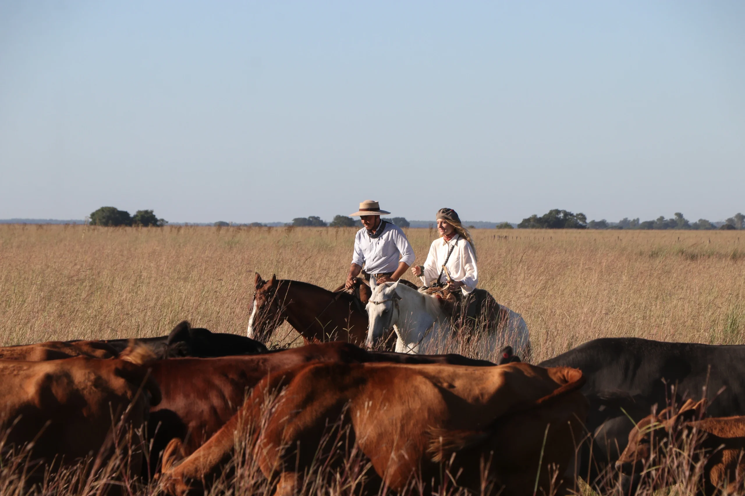 Authentic Gaucho rural activities lasso cattle herding Estancia don Joaquin Corrientes argentina