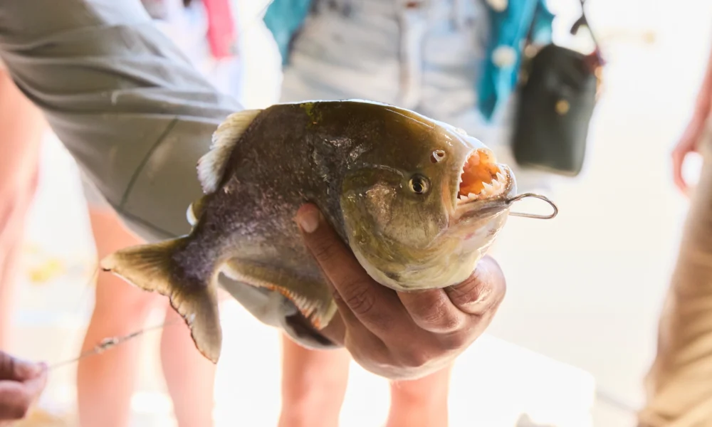 KLJ_EstanciaDonJoaquin_TP40_22.11.25-0452