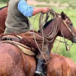 Authentic Gaucho rural activities lasso cattle herding Estancia don Joaquin Corrientes argentina