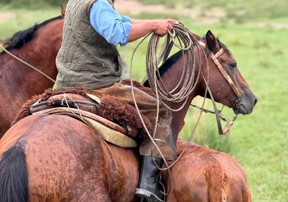 Authentic Gaucho rural activities lasso cattle herding Estancia don Joaquin Corrientes argentina