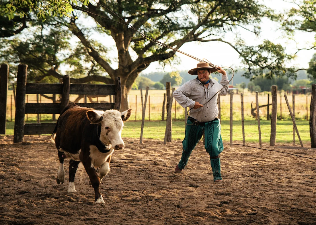 Authentic Gaucho rural activities lasso cattle herding Estancia don Joaquin Corrientes argentina