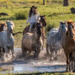 free horses running in water estancia don Joaquin Corrientes argentina