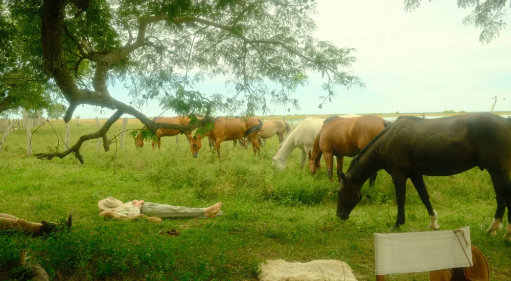 Siesta nap lunchtime the gaucho trail Estancia don Joaquin Corrientes argentina