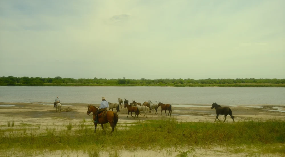 Free horses beach gaucho trail Estancia don Joaquin Corrientes argentina