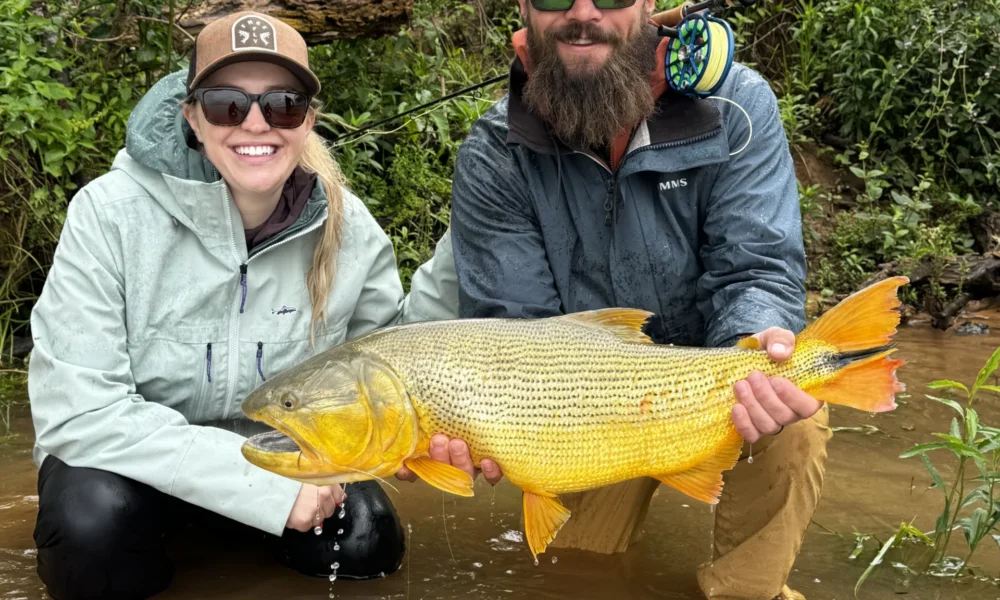 Fly Fishing golden dorado Corriente river Estancia don Joaquin Corrientes argentina