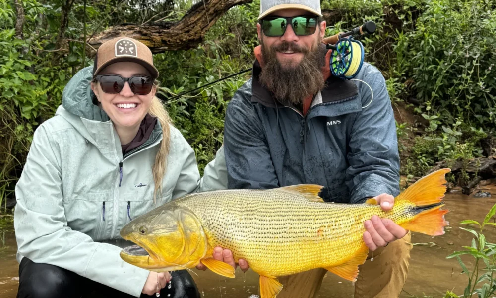 Fly Fishing golden dorado Corriente river Estancia don Joaquin Corrientes argentina