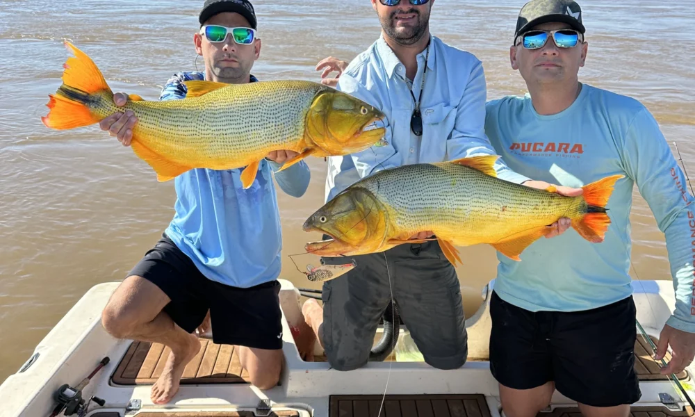 Fly Fishing golden dorado Corriente river Estancia don Joaquin Corrientes argentina