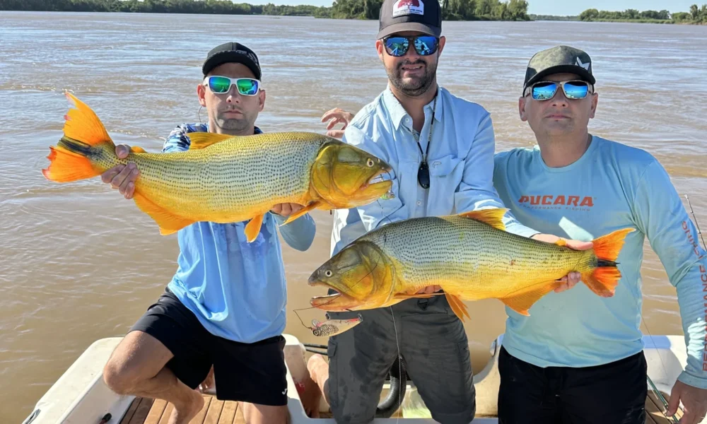 Fly Fishing golden dorado Corriente river Estancia don Joaquin Corrientes argentina