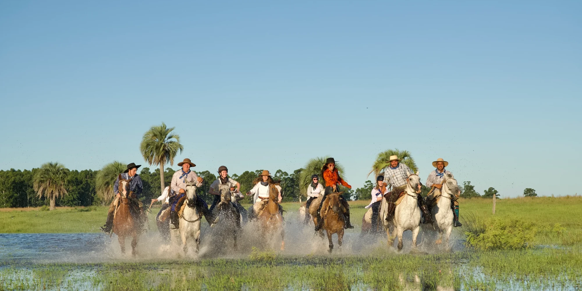 Horses galloping in water lagoon estancia don joaquin