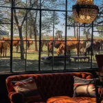 Living room window horses view estancia don Joaquin Corrientes argentina