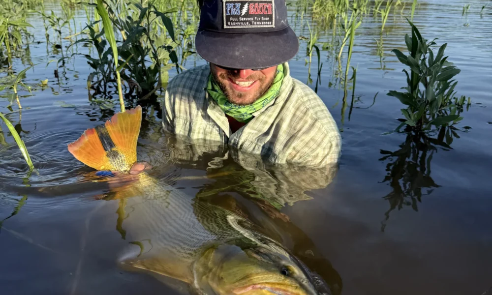 Fly Fishing golden dorado Corriente river Estancia don Joaquin Corrientes argentina