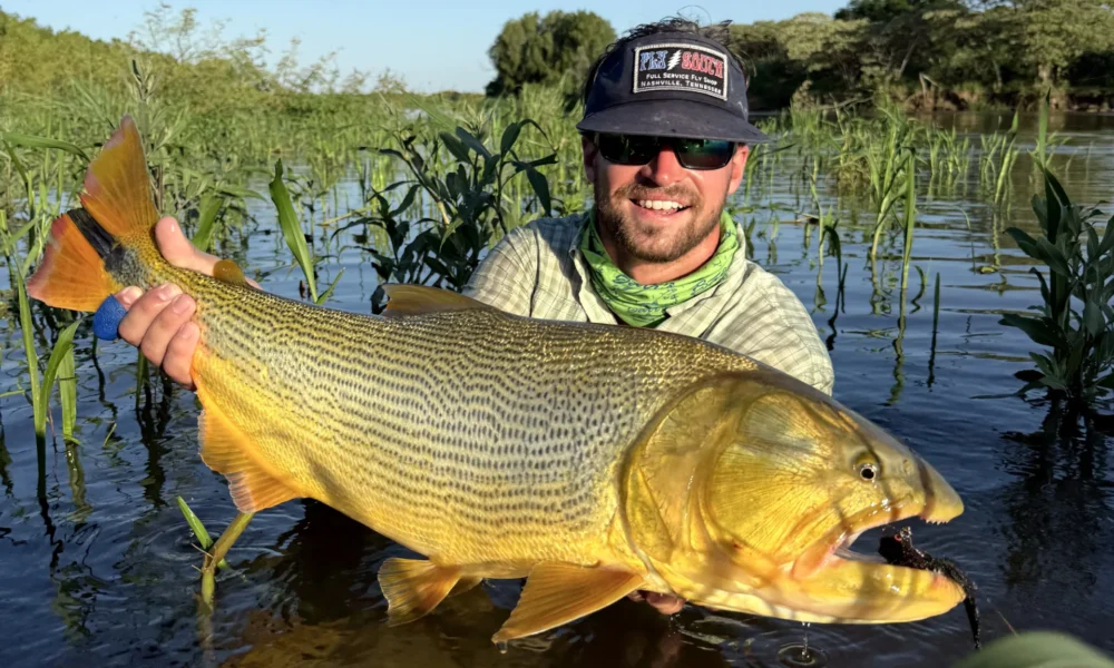 Fly Fishing golden dorado Corriente river Estancia don Joaquin Corrientes argentina