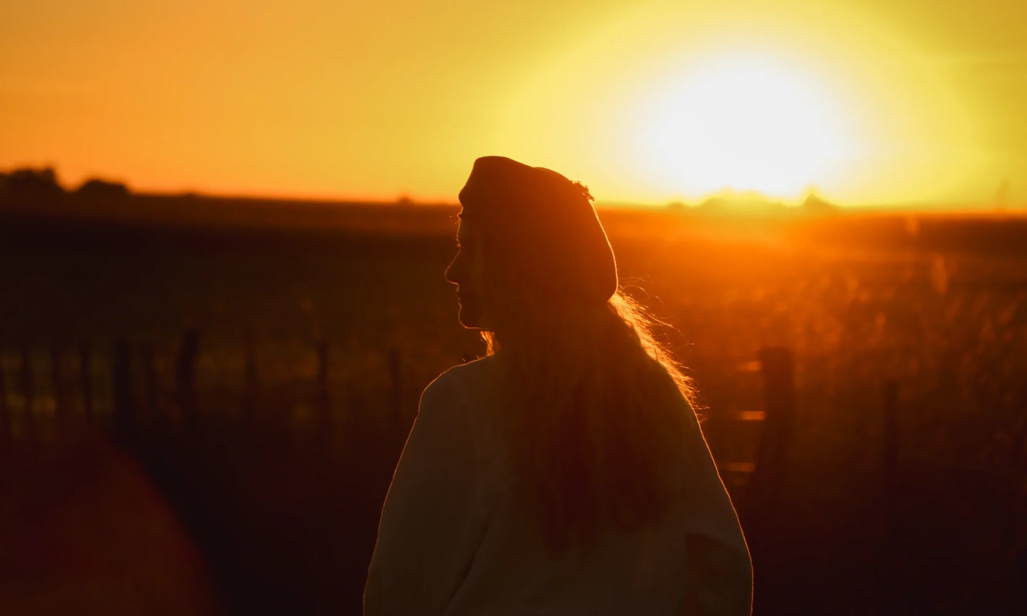 Wild horses herd lagoon estancia don joaquin corrientes argentina sunset boat tour