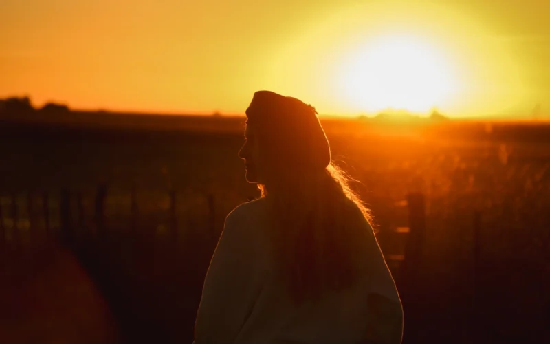 Wild horses herd lagoon estancia don joaquin corrientes argentina sunset boat tour