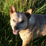 Estancia don Joaquin Corrientes argentina