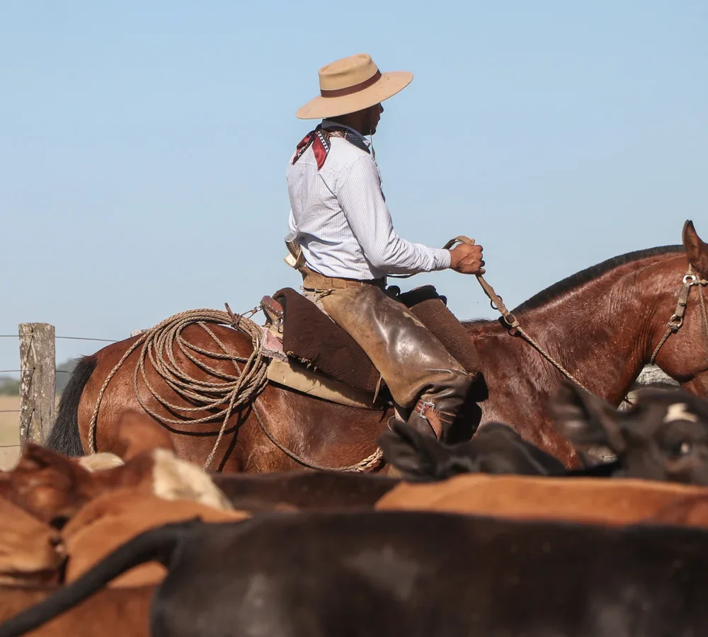 Authentic Gaucho rural activities lasso cattle herding Estancia don Joaquin Corrientes argentina