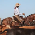 Authentic Gaucho rural activities lasso cattle herding Estancia don Joaquin Corrientes argentina