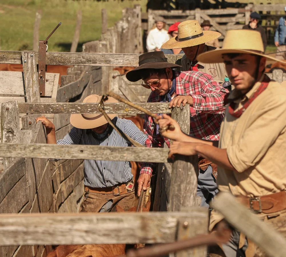 Authentic Gaucho rural activities lasso cattle herding Estancia don Joaquin Corrientes argentina