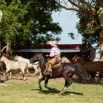 Authentic Gaucho rural activities lasso cattle herding Estancia don Joaquin Corrientes argentina