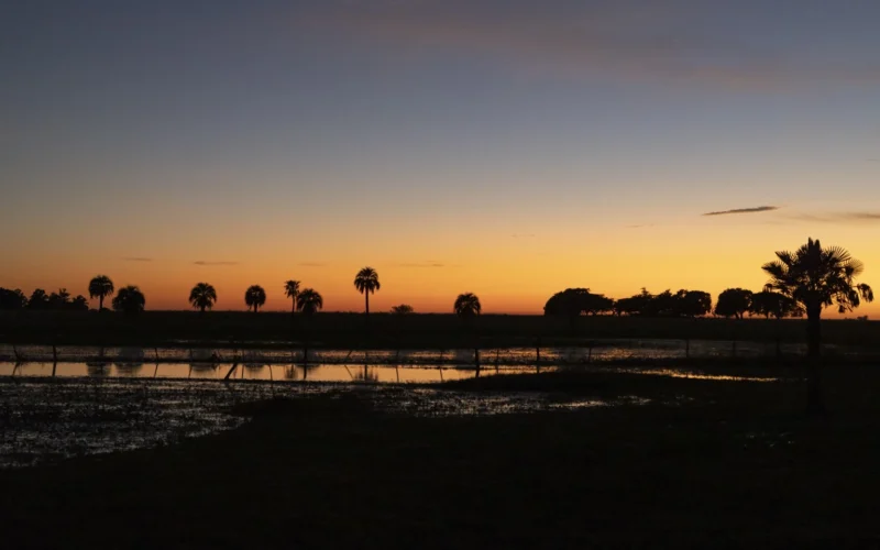 Sunset boat tour on corriente river activities estancia don joaquin corrientes argentina