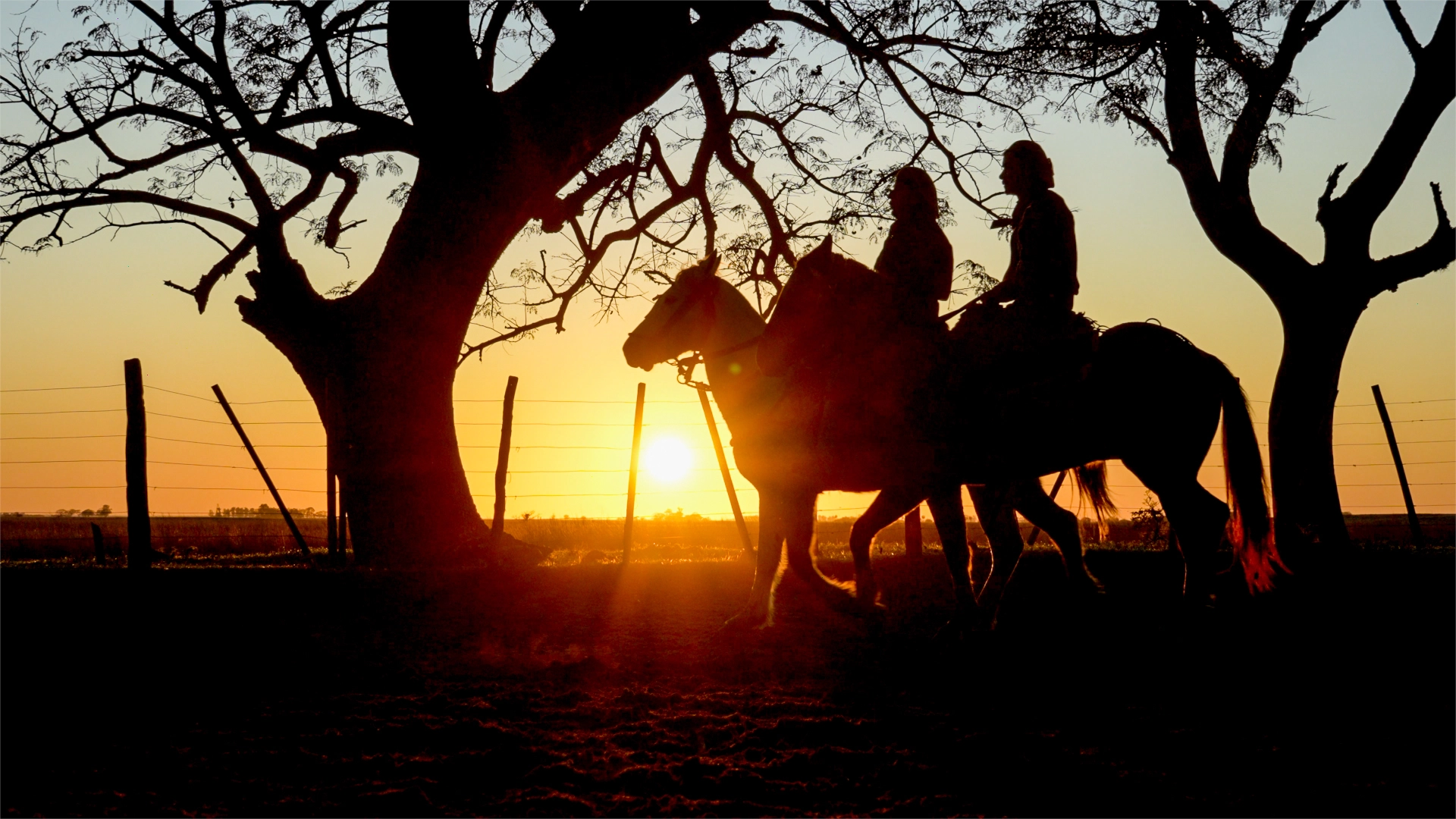 estancia don joaquin corrientes argentina horse riding landscape authentic family ranch