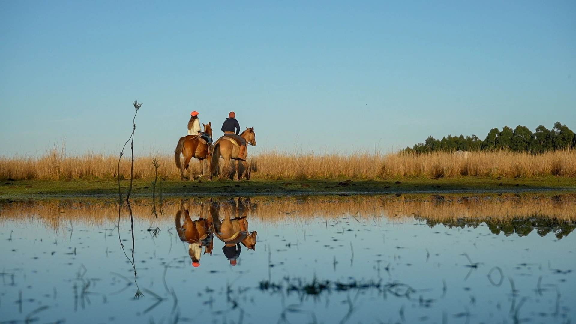 estancia don joaquin corrientes argentina horse riding landscape authentic family ranch canter in the water