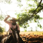 Authentic Gaucho rural activities lasso cattle herding Estancia don Joaquin Corrientes argentina