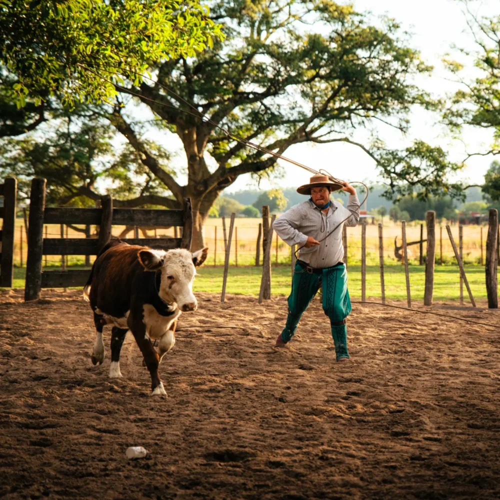 Authentic Gaucho rural activities lasso cattle herding Estancia don Joaquin Corrientes argentina
