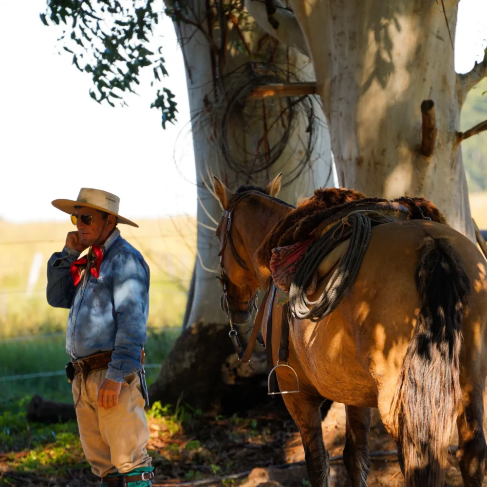 Copia de DSC06218_converted