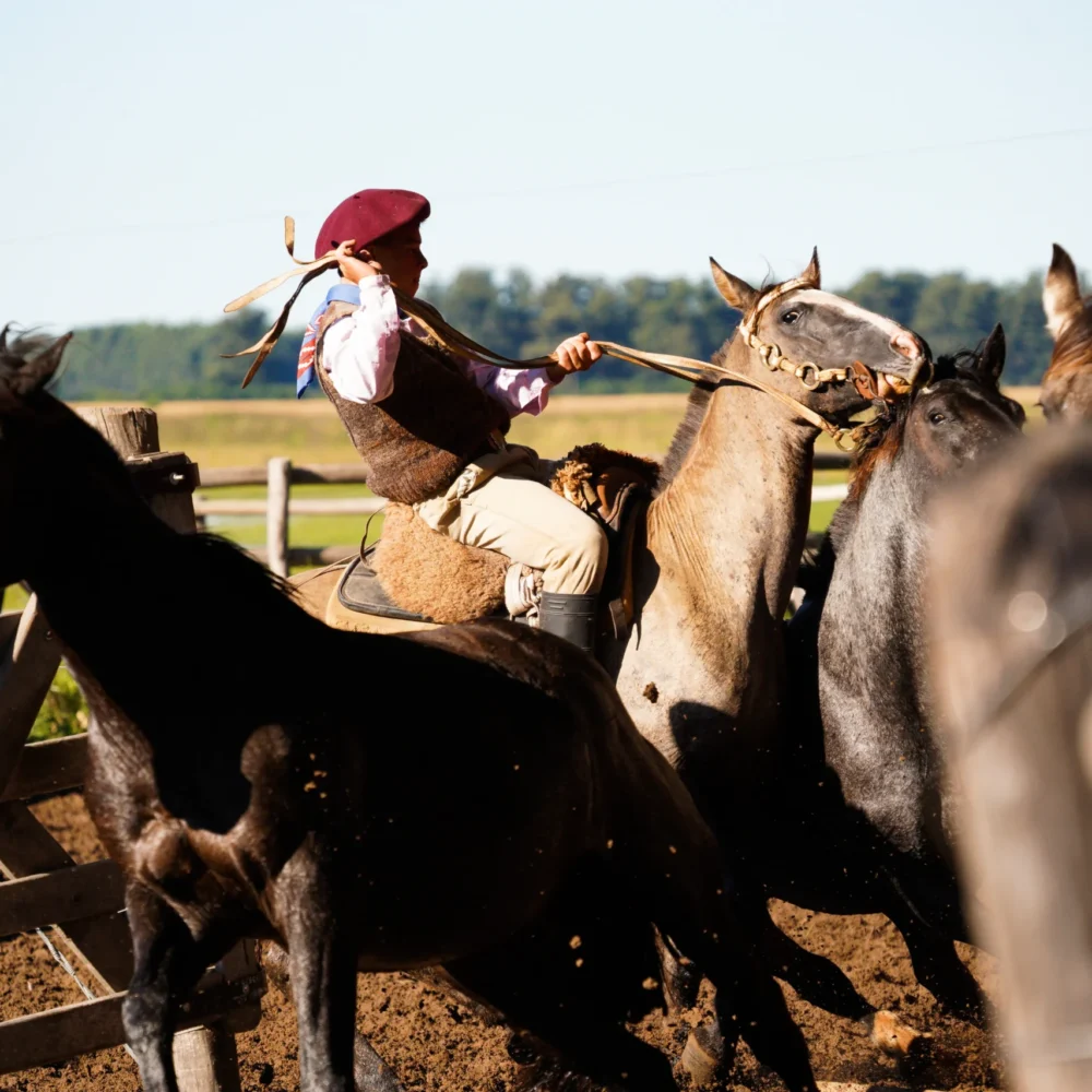 Copia de DSC06910_converted