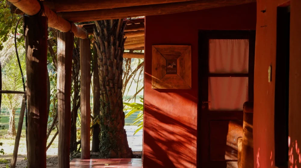 Copia de DSC06985_converted