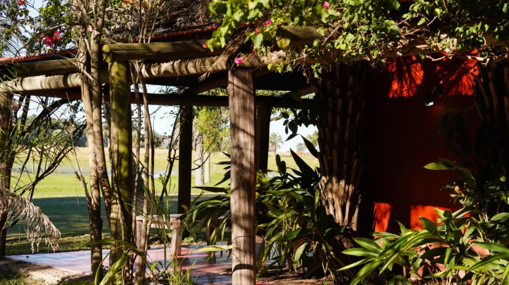 Copia de DSC06986_converted