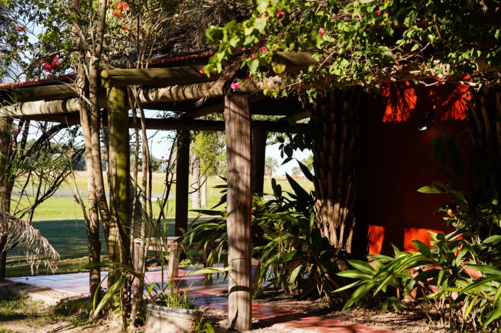 Copia de DSC06986_converted